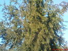DSC07664