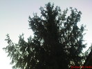 DSC07668