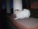 DSC07678