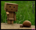29472117_IHNNZCJRB