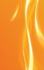 29473118_WPEYLDDJB