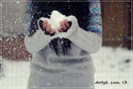 29465662_CDMBQELGY