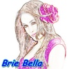 Brie-Bella-wwe-diva-35