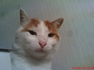 DSC07740