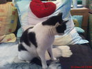 DSC07745