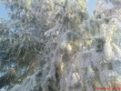 DSC07795