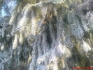 DSC07796