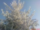 DSC07804