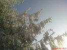 DSC07805