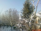 DSC07821