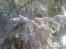 DSC07826