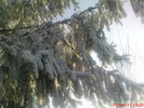 DSC07828