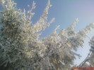 DSC07829