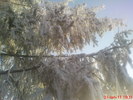 DSC07834