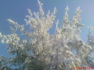 DSC07838