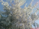 DSC07839