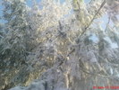 DSC07840