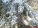 DSC07841