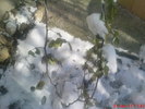 DSC07846