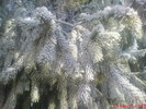 DSC07848