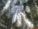 DSC07851