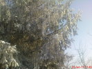 DSC07856