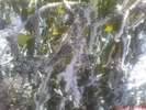 DSC07859