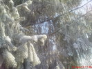 DSC07860