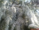 DSC07863