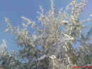 DSC07866