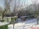 DSC07884