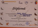 diploma - "cel mai frumos jucator dublu motat de ardeal tarcat"