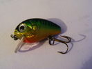 2011_0130PianuarieP0040