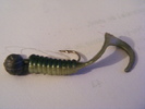 2011_0130PianuarieP0046