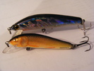 2011_0130PianuarieP0073