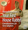 House Rabbit