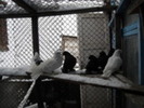 28274510_HGZMWYUOV