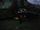 P1250392