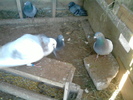 P310111_16.04_[04]