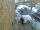 P310111_16.09_[02]