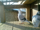 P310111_16.10_[01]