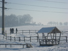 IMG_9023
