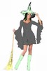 Party-Halloween-Costume-Bad-Witch-HF2005-[1]