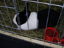 P5230444