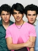 Jonas Brothers (26)