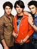 Jonas Brothers (31)