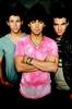 Jonas Brothers (15)