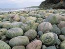 green_point_gros_morne_national_park