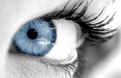 blue-eyes2[1]