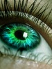 green_eyes2[1]